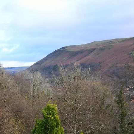 Cilbrwyn Bed and Breakfast Swansea Exteriör bild